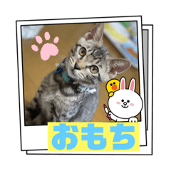 sayuri_20210902222756