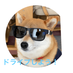 Hana_20210831195724