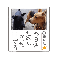 chie_20210902232143