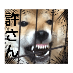 Hana_20210902233359
