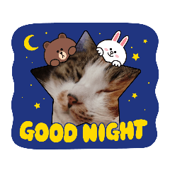 misatochida_20210903083234