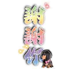 可愛到不行的Miumiu生活用語