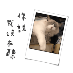 魯魯的頹廢生活