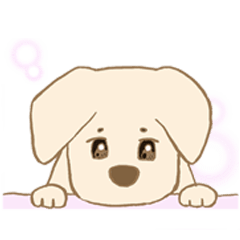 愛吃狗狗胖敦的日常