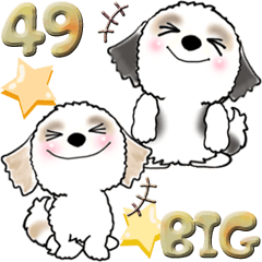 【Big】シーズー犬 49