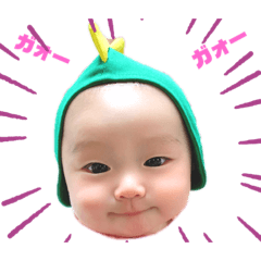NOA1212