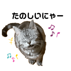 chisa_20210901114627