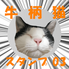 Bicolor cat sticker (series 03)