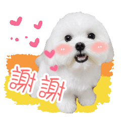 萌萌的小啾比