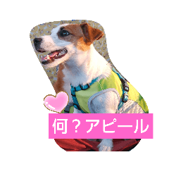 tomomi_20210903135902