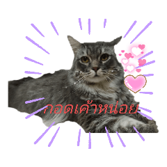 MeowMeow_20210903091459