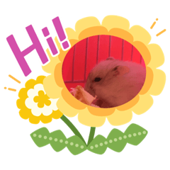 NamOun RAINBOW_20210903094921