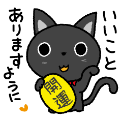 Black Cat Sardine