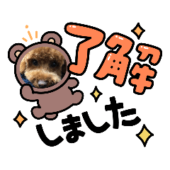 nanami_20210901222735