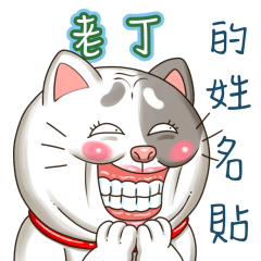 just yourcat! Lao Ding