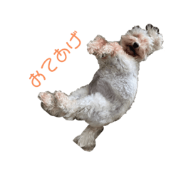 yamada_20210903191811