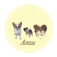 Rina_20210903152800