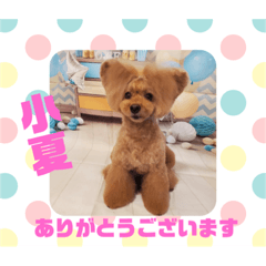 HappyBathPep9月のお友達A