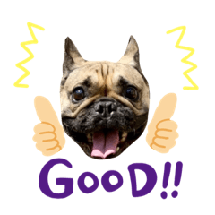 Asako_20210903210141