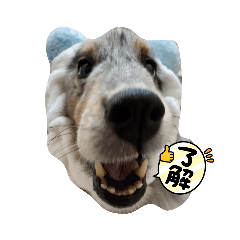 Chibi_20210901213107