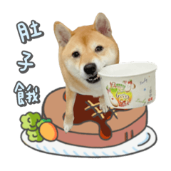 汪星球2-寶蒂咚