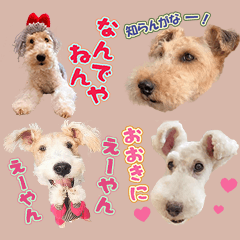 Happy terrier Kansai dialect Sticker