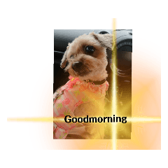 himawari_20210903231506