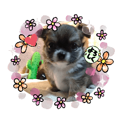 Asako_20210904094939