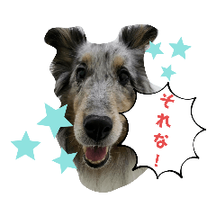 Chibi_20210902081459