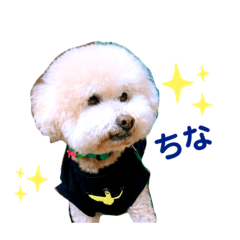 mipo_20210904013752