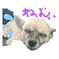 Kumi&nbsp; &nbsp;Kana  Tona