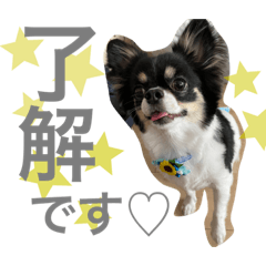 omochi_20210902123716