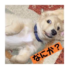 Mitsuki_20210902143535