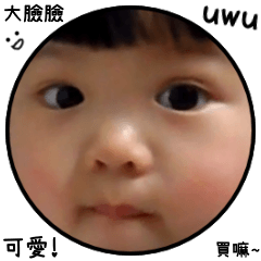 我家的大臉臉ovo