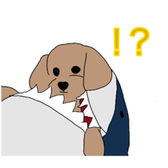 私のペットたち1弾