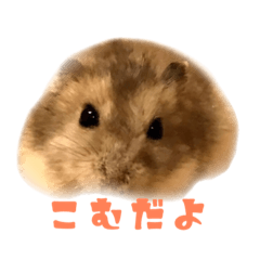 kokoko_20210902151634