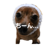 minipin.amoru