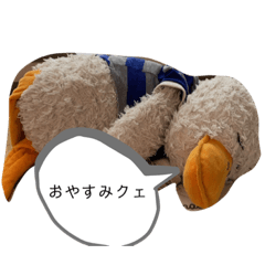 DAKKO_20210902165942