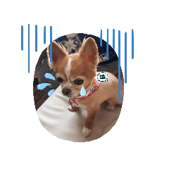 smile_20210823211408