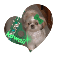 ペットのミニーちゃん2