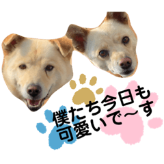 Ayumi_20210902150907