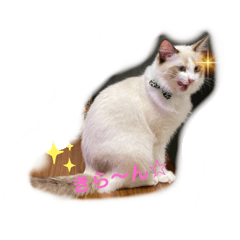 miko_20210903212027