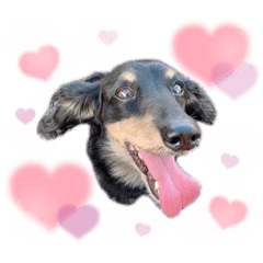 ayumi_20210904163153