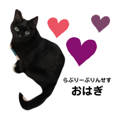 Ayumi_20210902192934