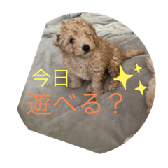 Alice_20210904150221