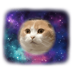 Ayumi_20210903090919