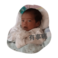 莫名其妙這一家