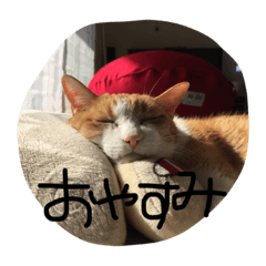 fujam