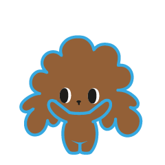 choco poodle bori