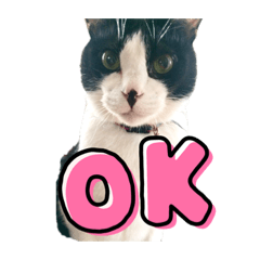 nanami_20210903173238